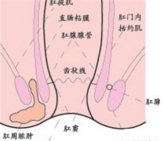 阜阳兆岐肛肠医院